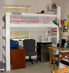 College Loft Bed