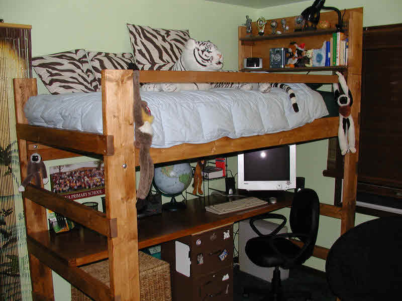 loft bed for 10 year old
